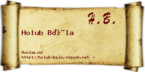 Holub Béla névjegykártya