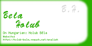 bela holub business card